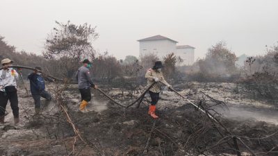 Task Force Siaga: Sinergi ASN & Relawan di Garis Depan