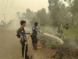 Karhutla di Bantanan Belum Padam Total, Tim Dishut Kalteng Lanjutkan Penanganan