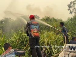 Dalkarhutla Dishut Kalteng Bergerak Padamkan Karhutla di Tahura Isen Mulang