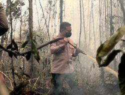 Aksi Sigap Kapolres Barsel Pimpin Pemadaman Karhutla hingga ke Dalam Gambut