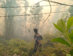 Karhutla 1 Hektare Lebih di Pulang Pisau Berhasil Dipadamkan